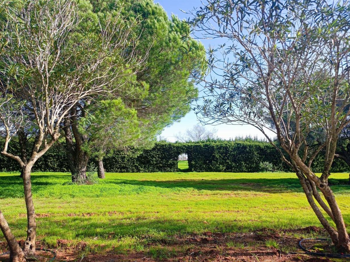 Casa Con Piscina Privada Y Barbacoa En Chiclana Capacidad Hasta 10 Personas Βίλα Chiclana de la Frontera Εξωτερικό φωτογραφία