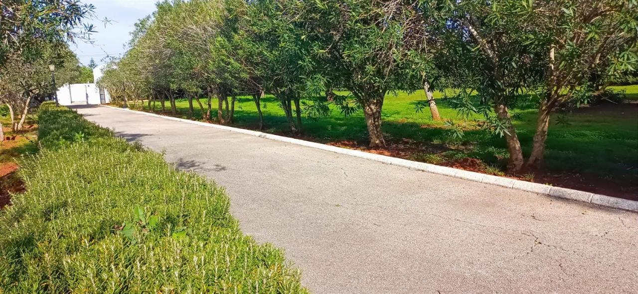 Casa Con Piscina Privada Y Barbacoa En Chiclana Capacidad Hasta 10 Personas Βίλα Chiclana de la Frontera Εξωτερικό φωτογραφία