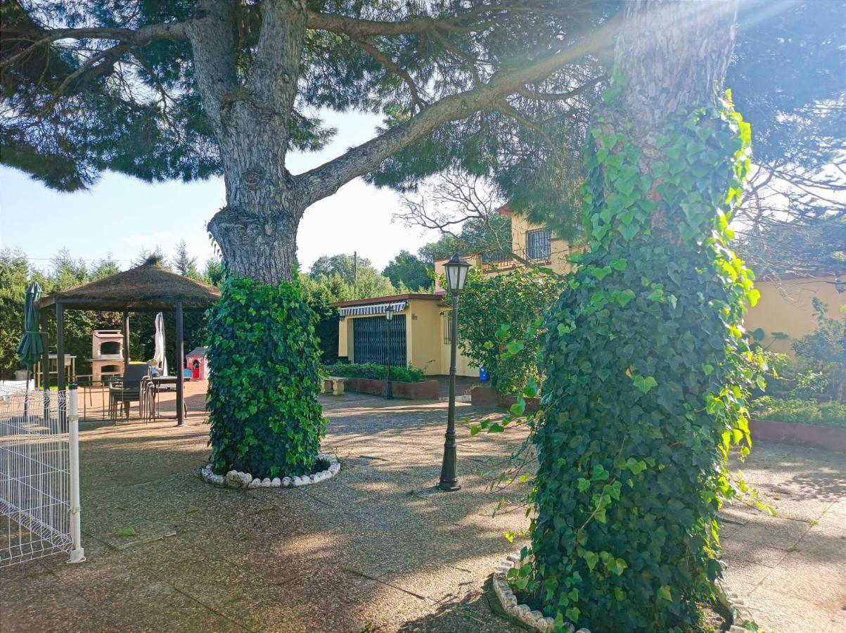 Casa Con Piscina Privada Y Barbacoa En Chiclana Capacidad Hasta 10 Personas Βίλα Chiclana de la Frontera Εξωτερικό φωτογραφία