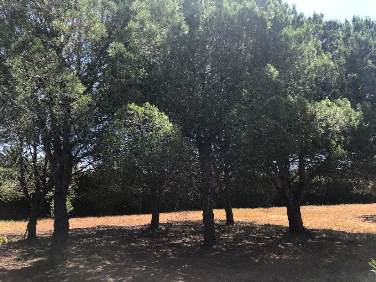 Casa Con Piscina Privada Y Barbacoa En Chiclana Capacidad Hasta 10 Personas Βίλα Chiclana de la Frontera Εξωτερικό φωτογραφία
